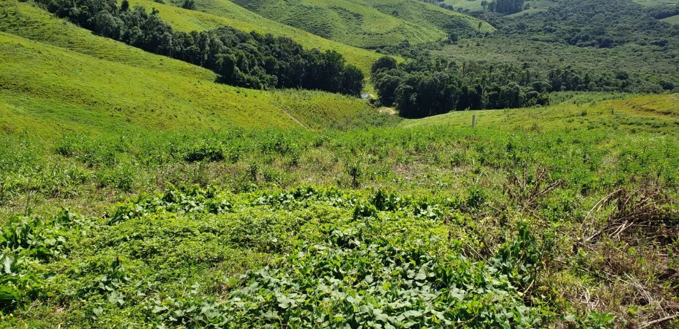 Fazenda à venda com 2 quartos, 890000m² - Foto 8