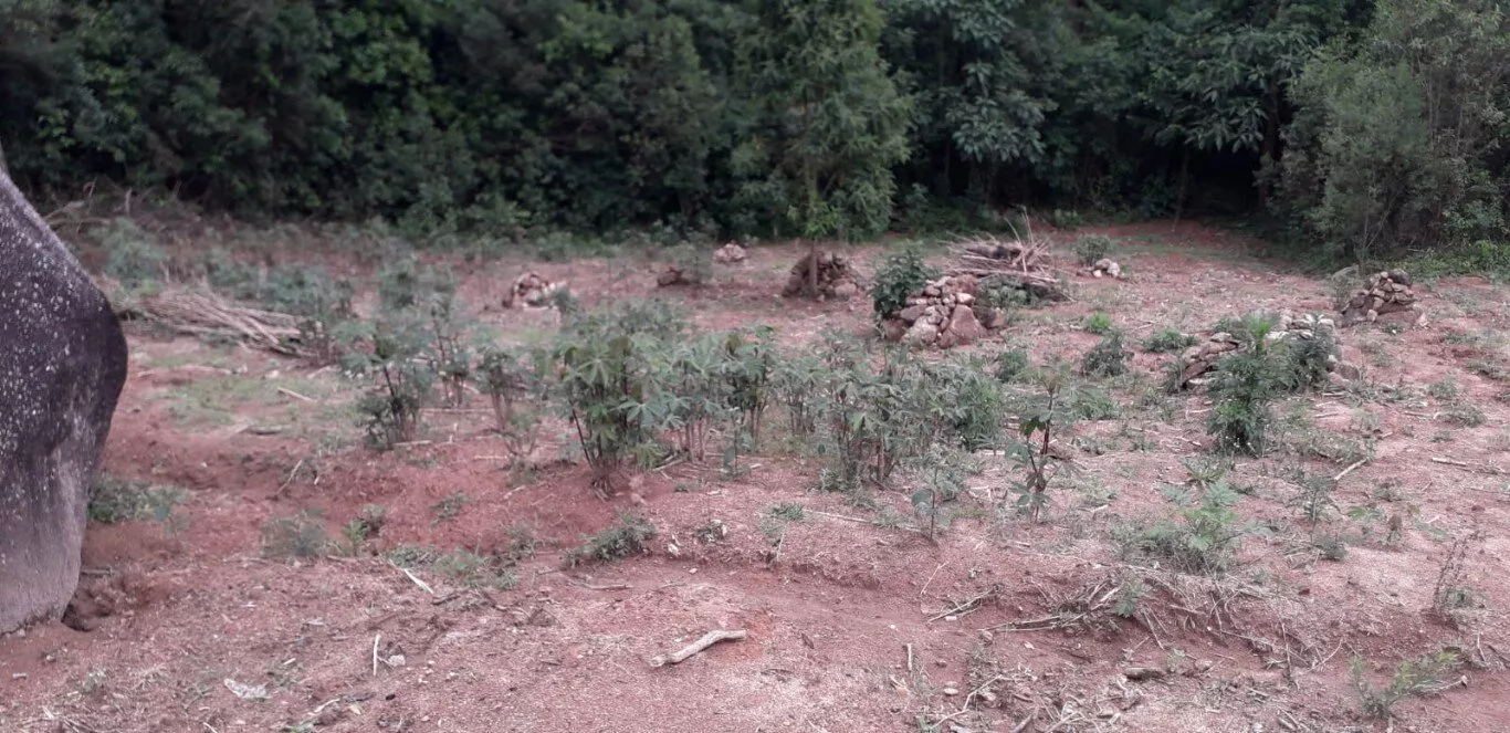 Fazenda à venda com 2 quartos, 12000m² - Foto 28