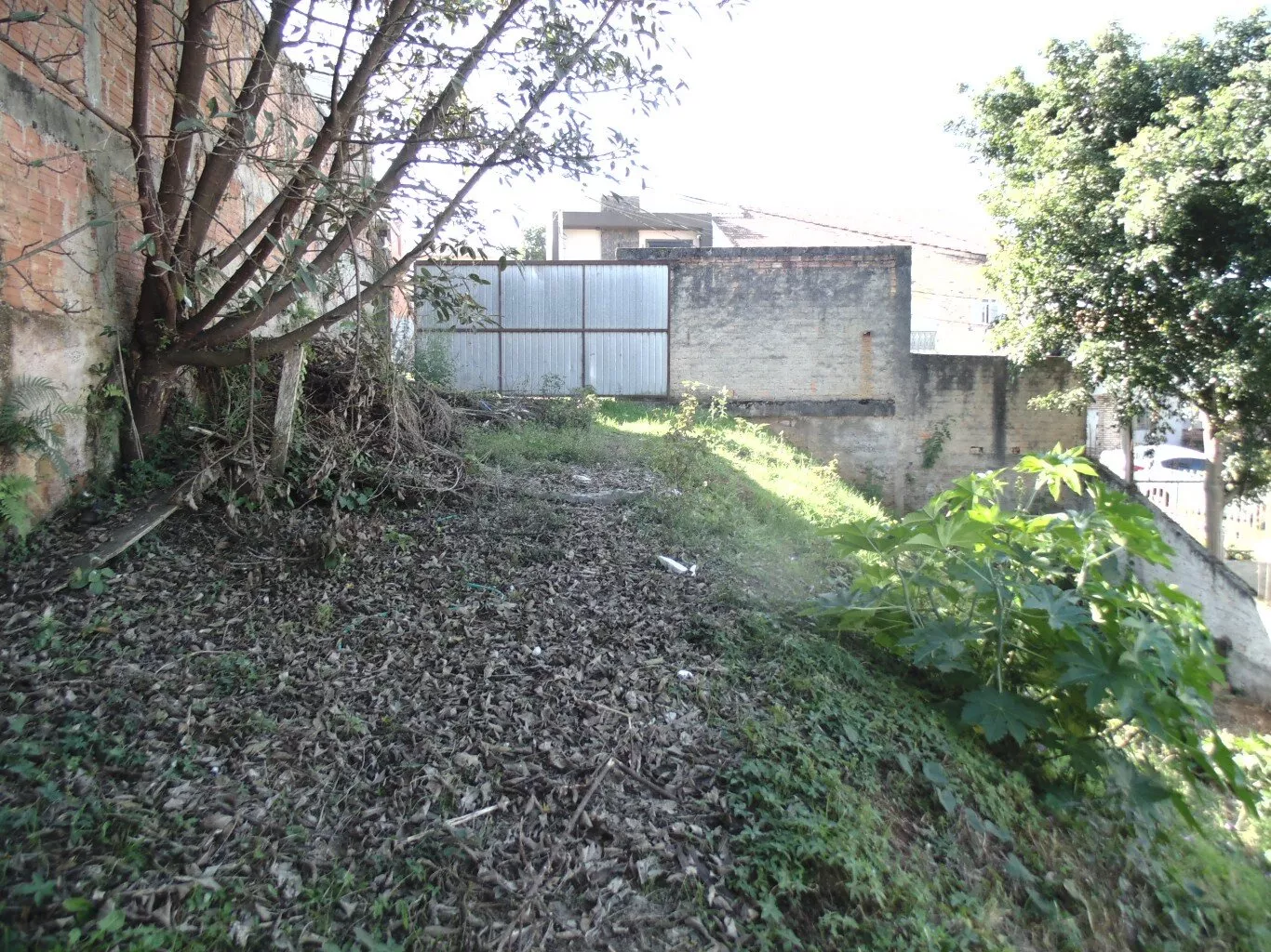 Terreno à venda, 250m² - Foto 7