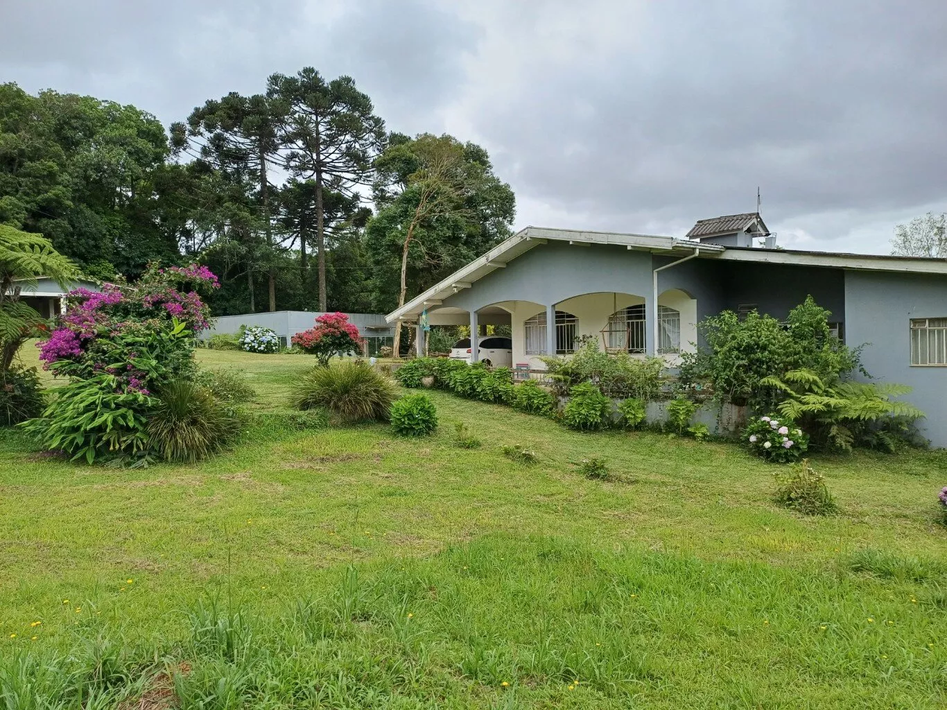 Terreno para alugar, 18000m² - Foto 22