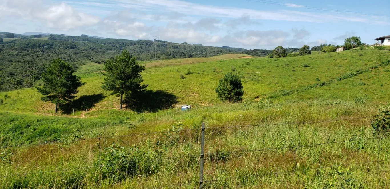 Fazenda à venda com 2 quartos, 890000m² - Foto 11