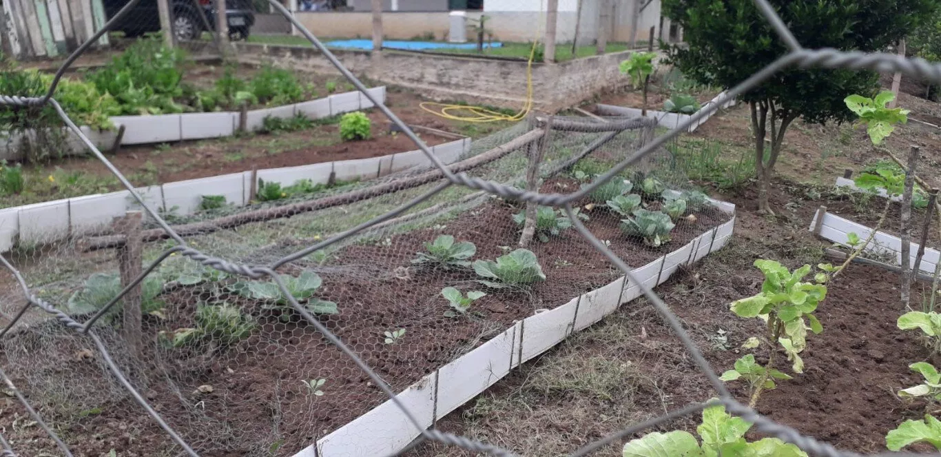 Fazenda à venda com 2 quartos, 12000m² - Foto 9