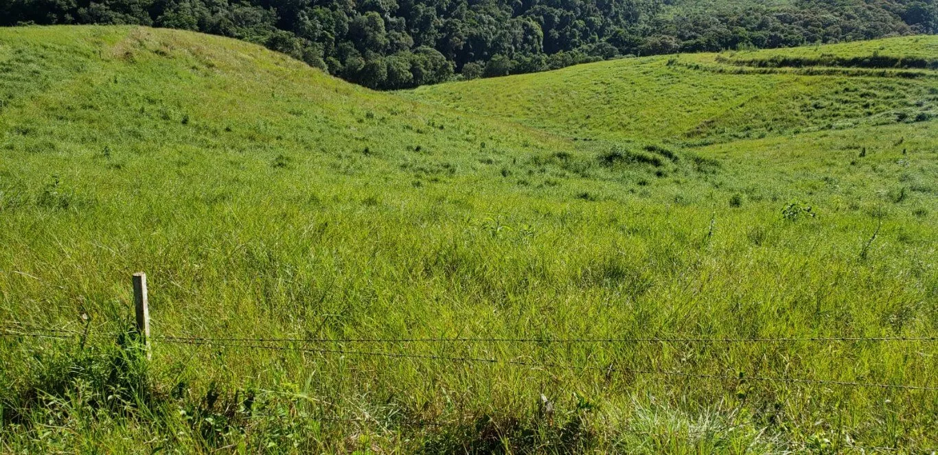 Fazenda à venda com 2 quartos, 890000m² - Foto 6