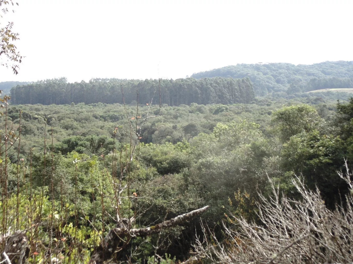 Fazenda à venda com 3 quartos, 72600m² - Foto 31