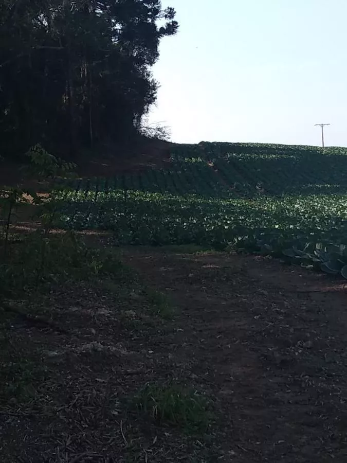 Fazenda à venda com 1 quarto, 23600m² - Foto 9