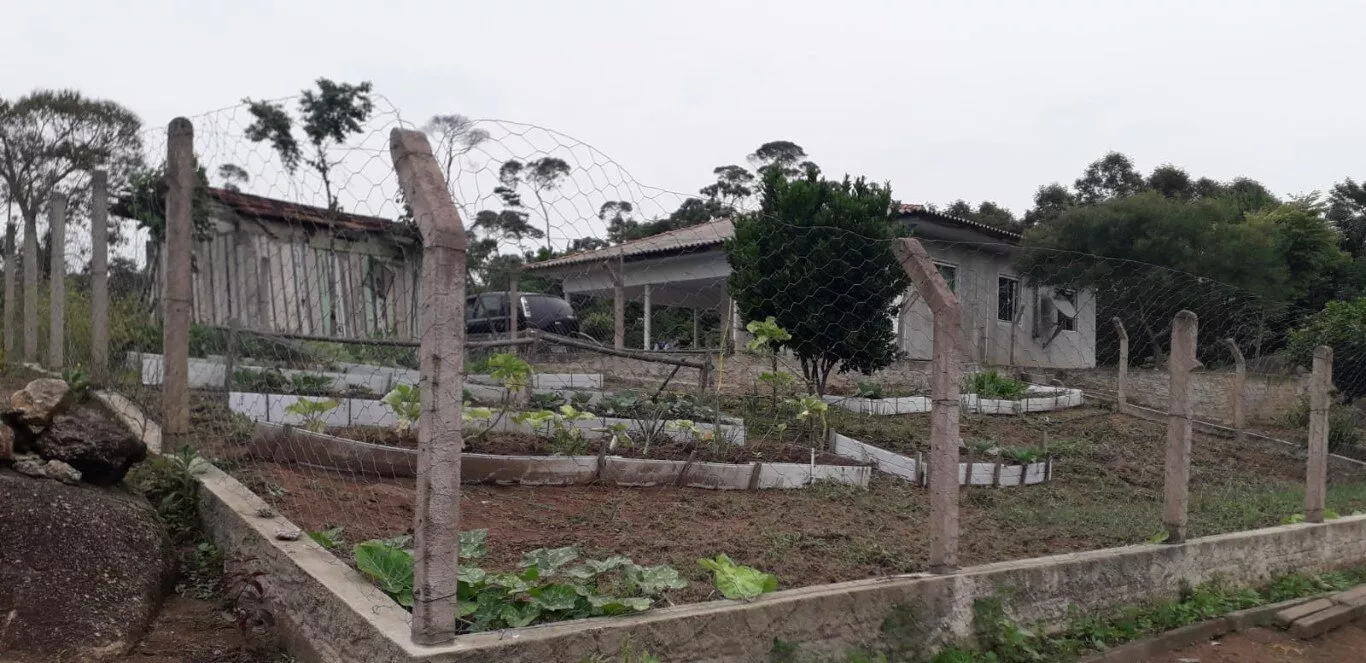 Fazenda à venda com 2 quartos, 12000m² - Foto 13