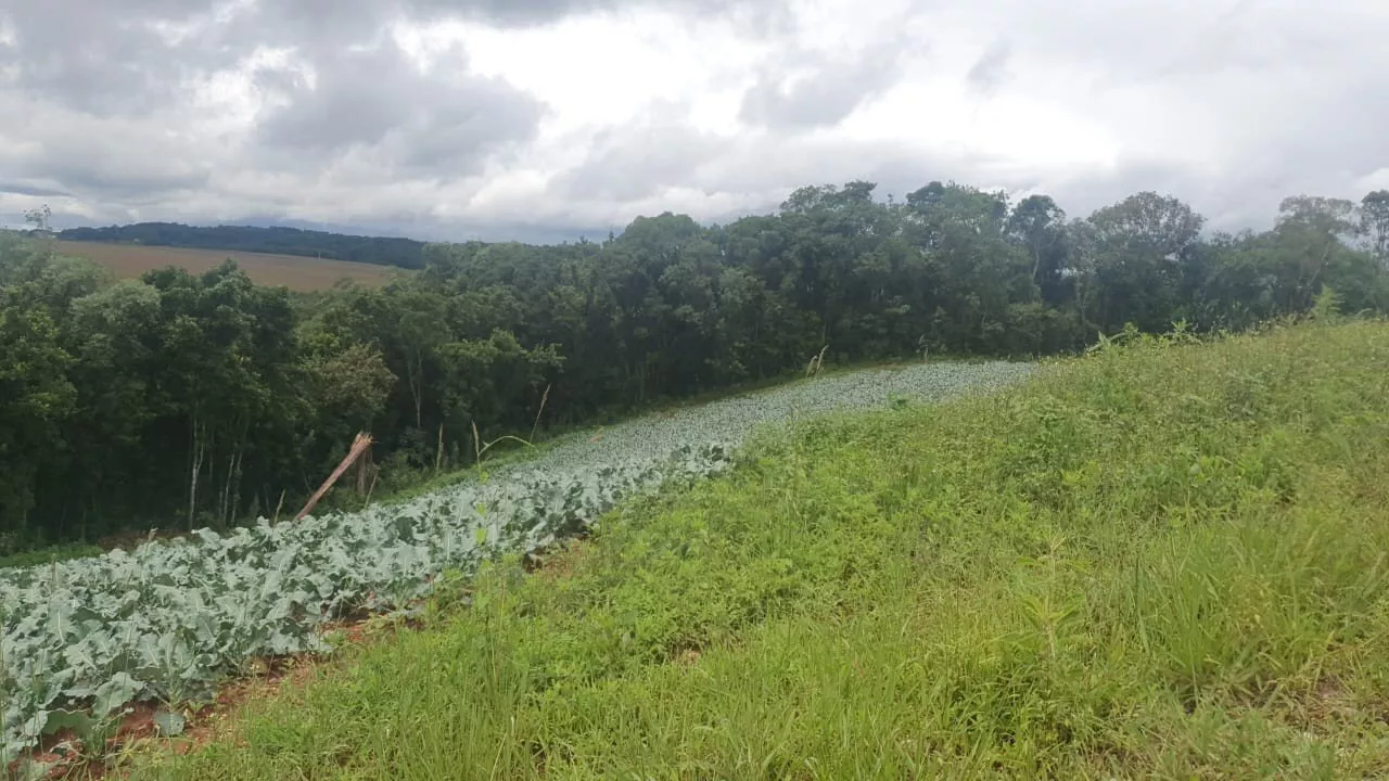 Fazenda à venda com 1 quarto, 72000m² - Foto 17