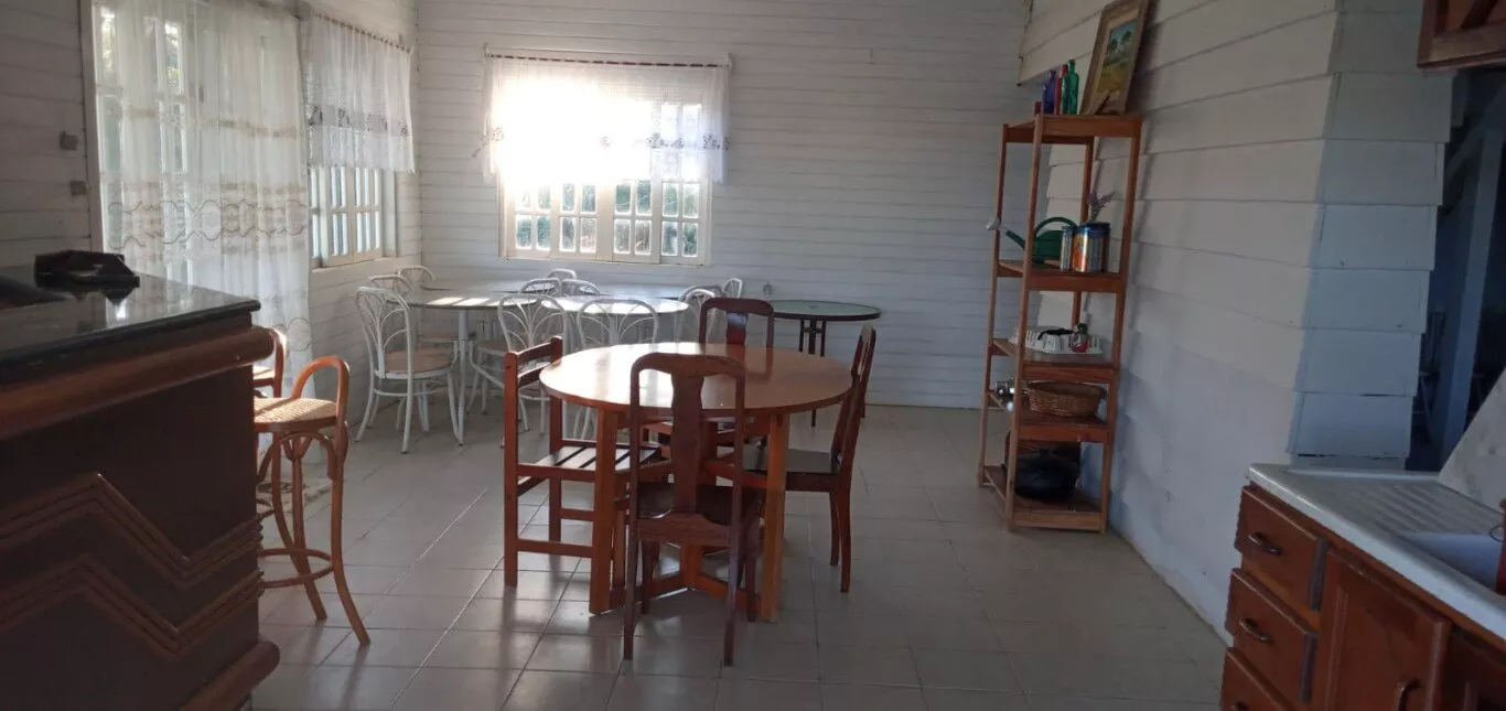 Fazenda à venda com 4 quartos, 38800m² - Foto 23