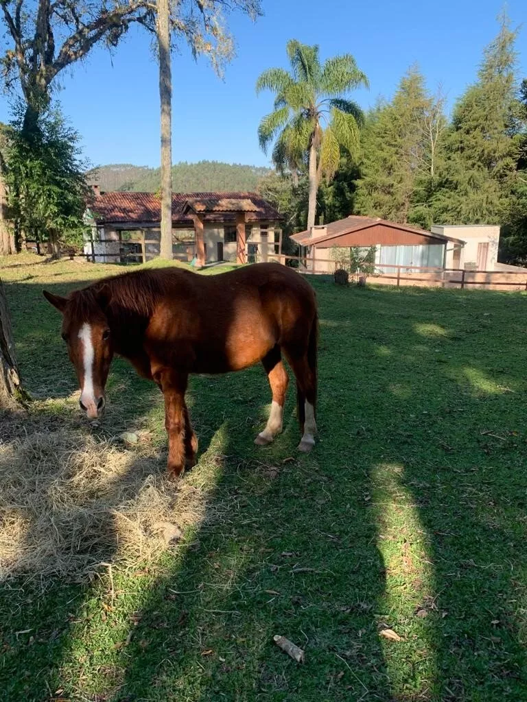 Fazenda à venda com 1 quarto, 28800m² - Foto 28