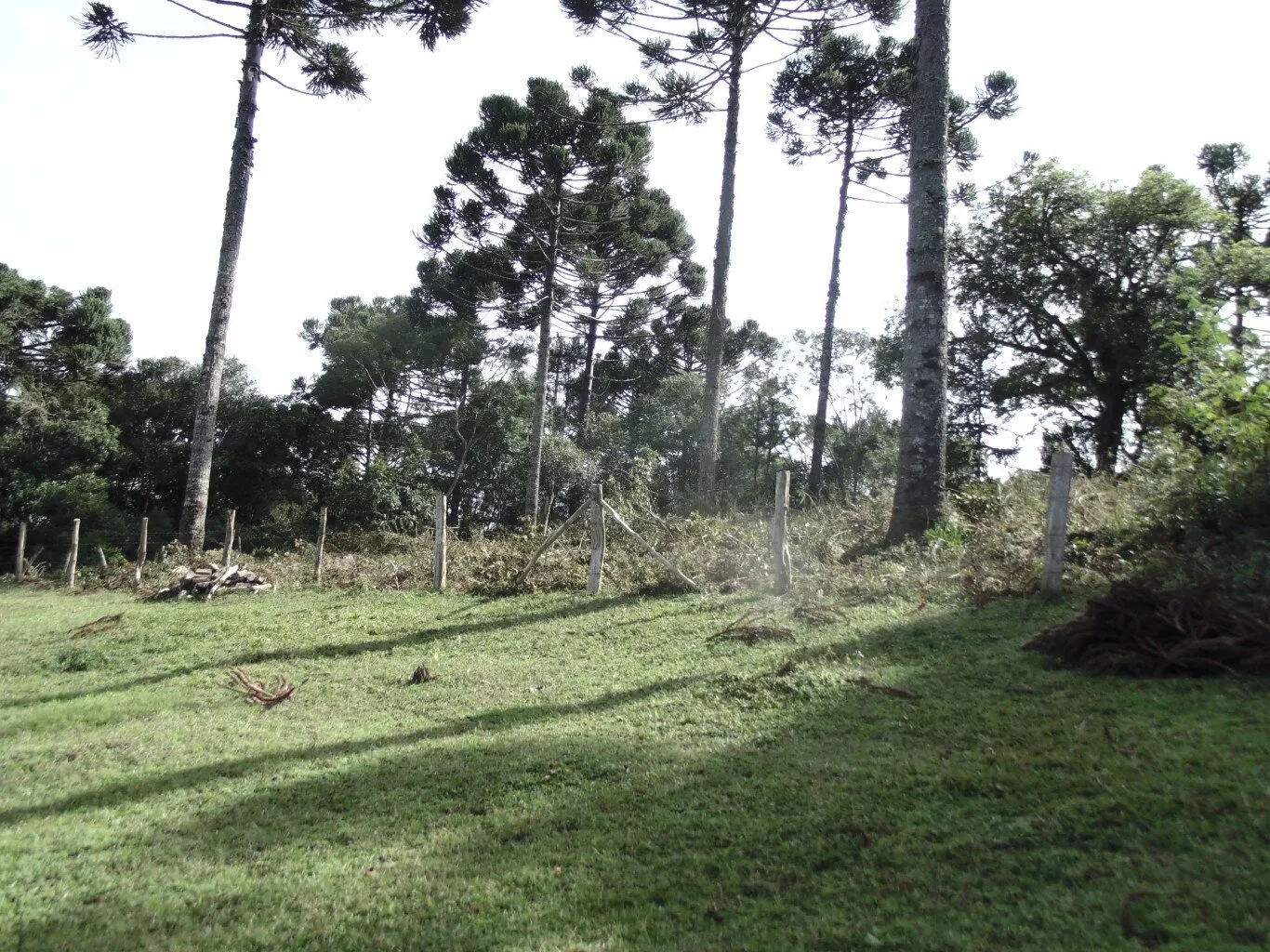 Fazenda à venda com 3 quartos, 72600m² - Foto 20