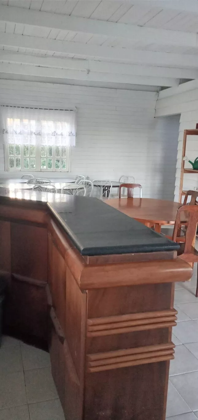 Fazenda à venda com 4 quartos, 38800m² - Foto 19