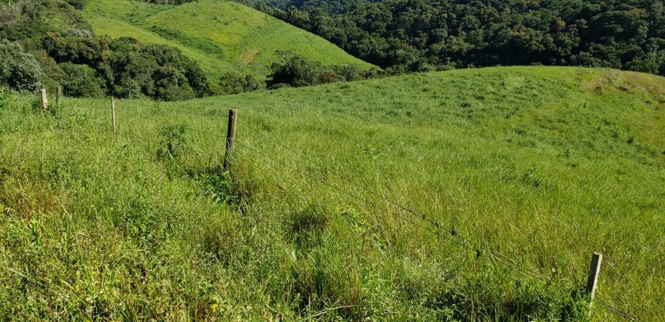 Fazenda à venda com 2 quartos, 890000m² - Foto 7