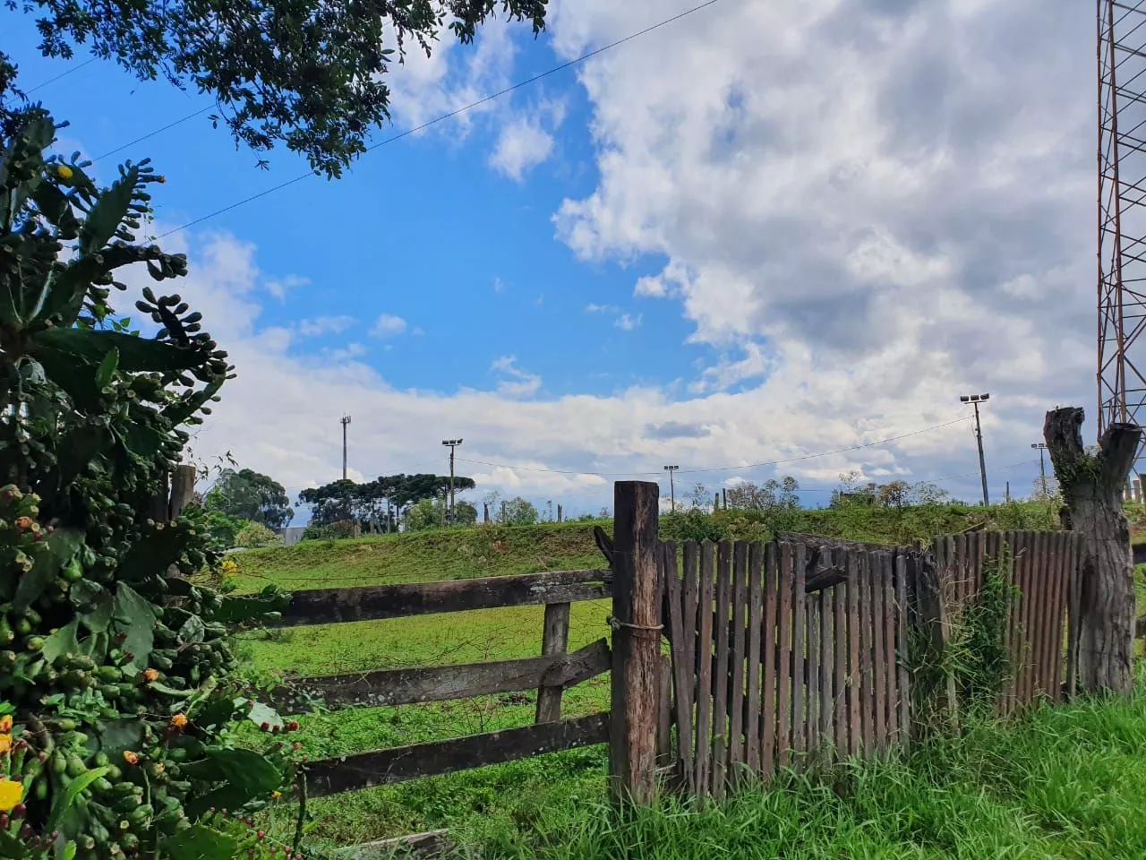 Terreno à venda, 16350m² - Foto 1