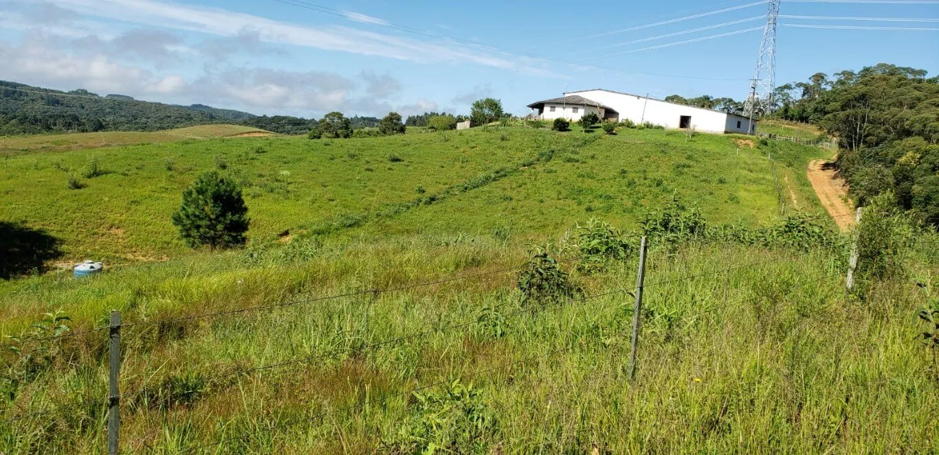 Fazenda à venda com 2 quartos, 890000m² - Foto 10