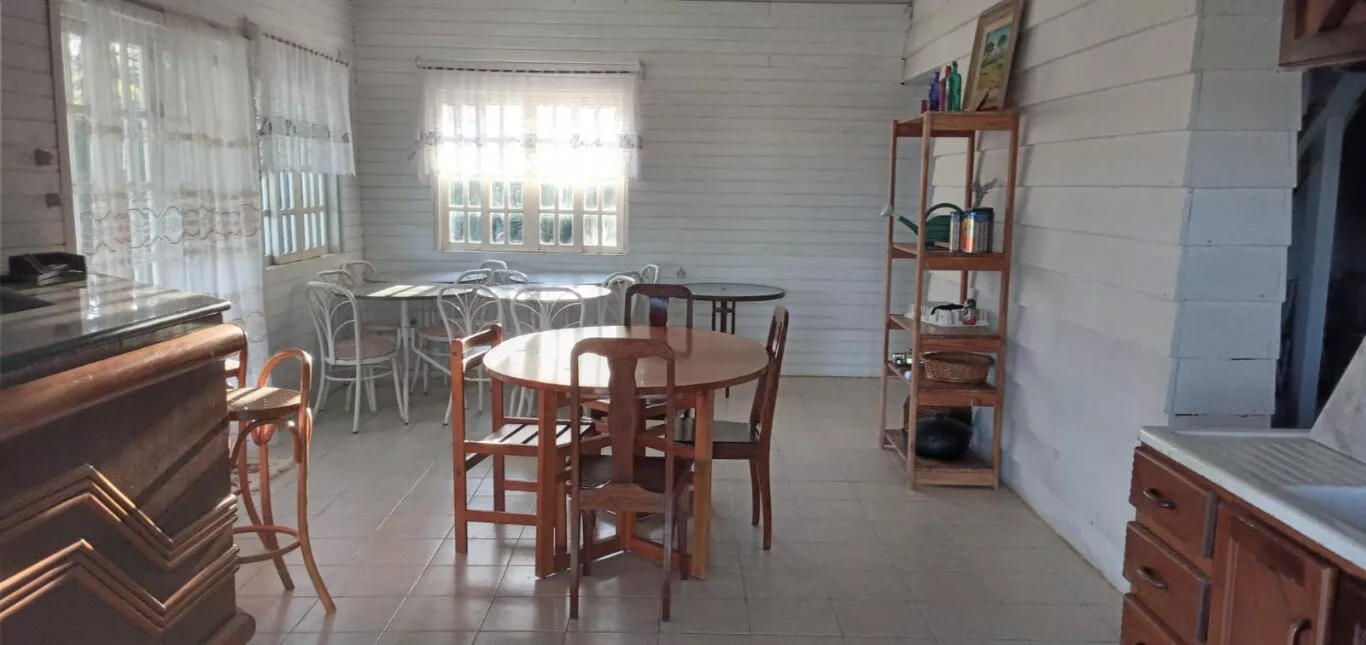 Fazenda à venda com 4 quartos, 38800m² - Foto 29