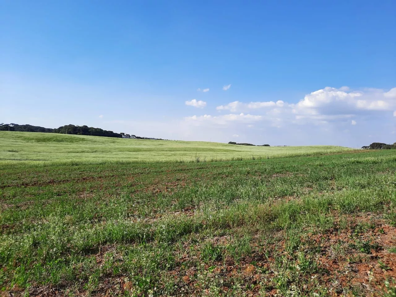 Fazenda à venda com 1 quarto, 127m² - Foto 10