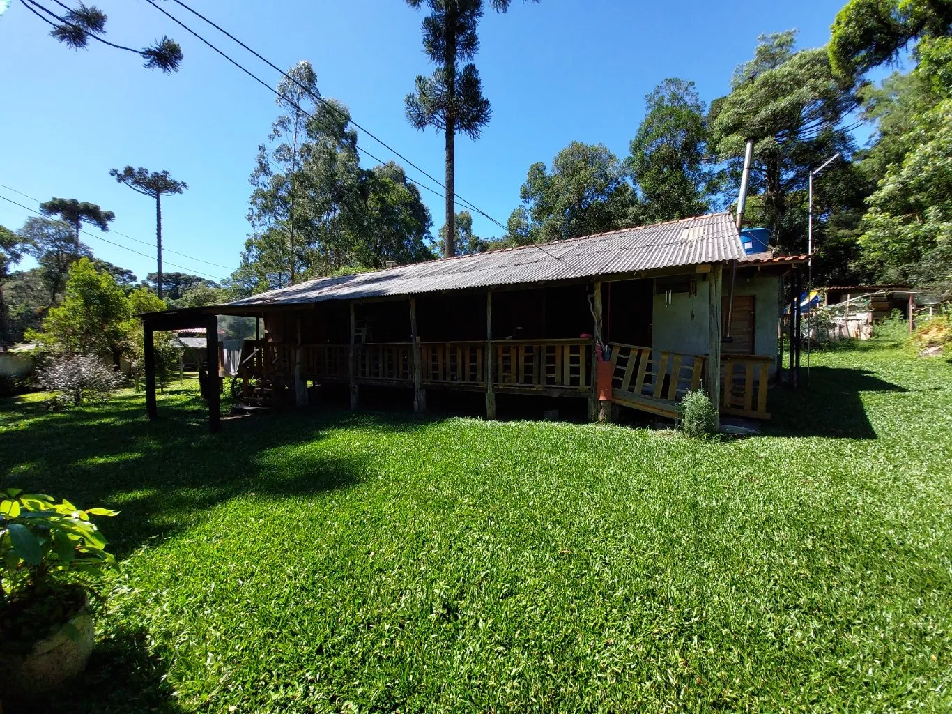 Fazenda à venda com 2 quartos, 10300m² - Foto 10