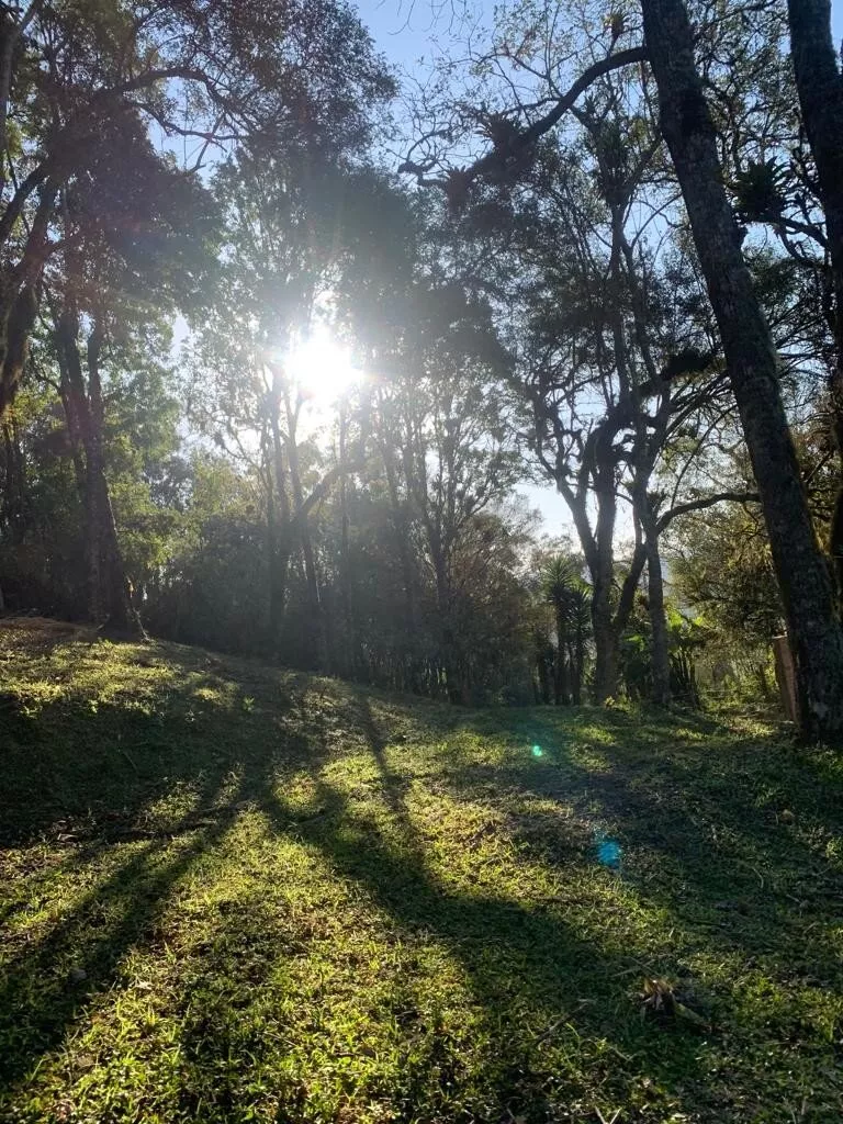 Fazenda à venda com 1 quarto, 28800m² - Foto 25