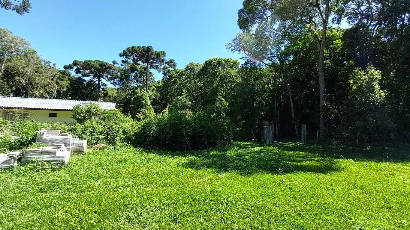 Fazenda à venda com 2 quartos, 10300m² - Foto 17