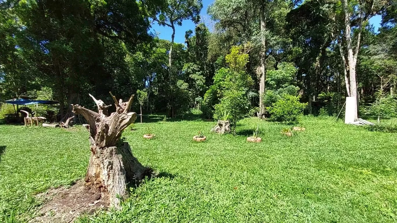 Fazenda à venda com 2 quartos, 10300m² - Foto 18