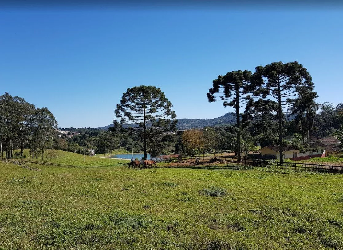 Terreno à venda, 360m² - Foto 6