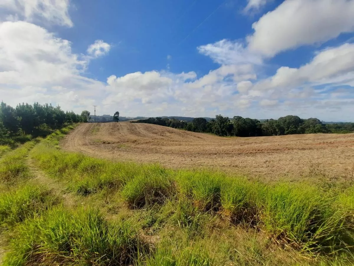 Fazenda à venda com 1 quarto, 72000m² - Foto 3