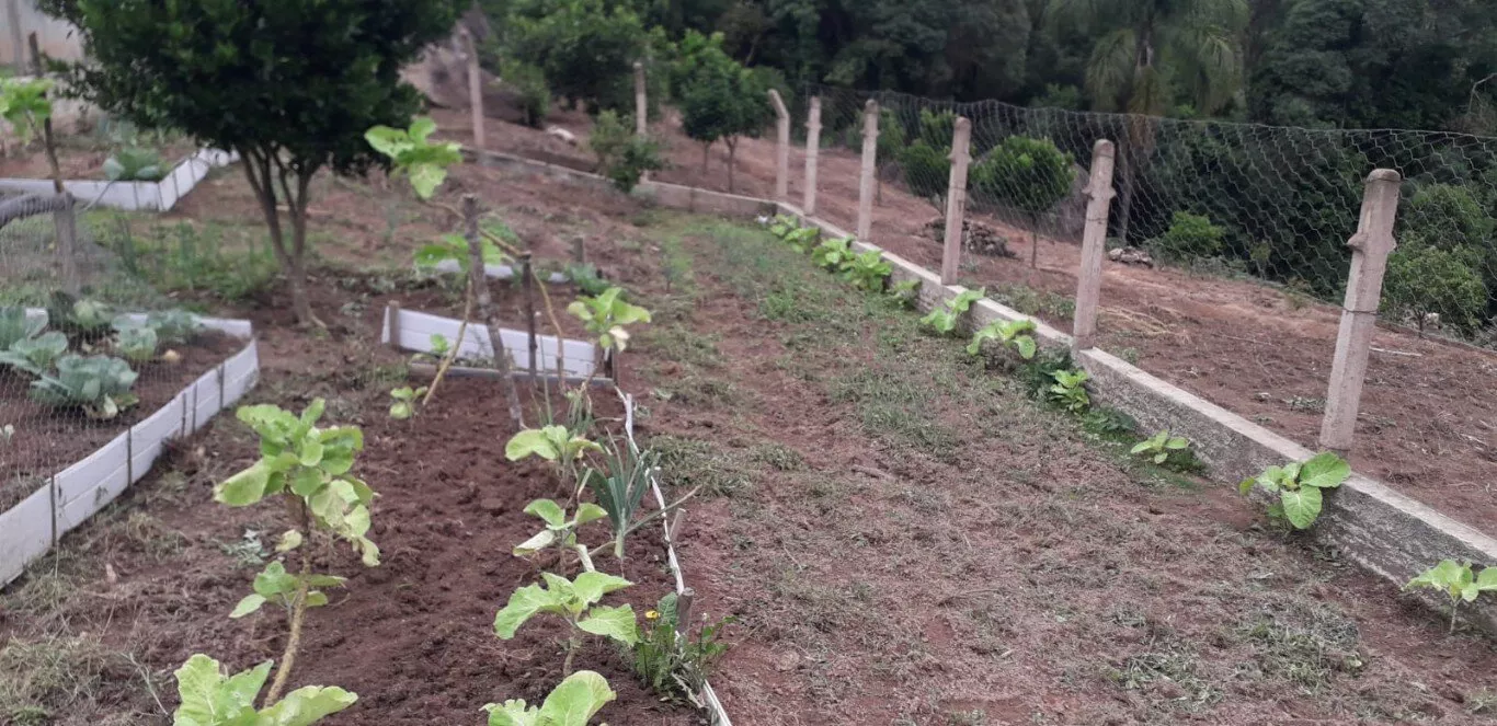 Fazenda à venda com 2 quartos, 12000m² - Foto 10