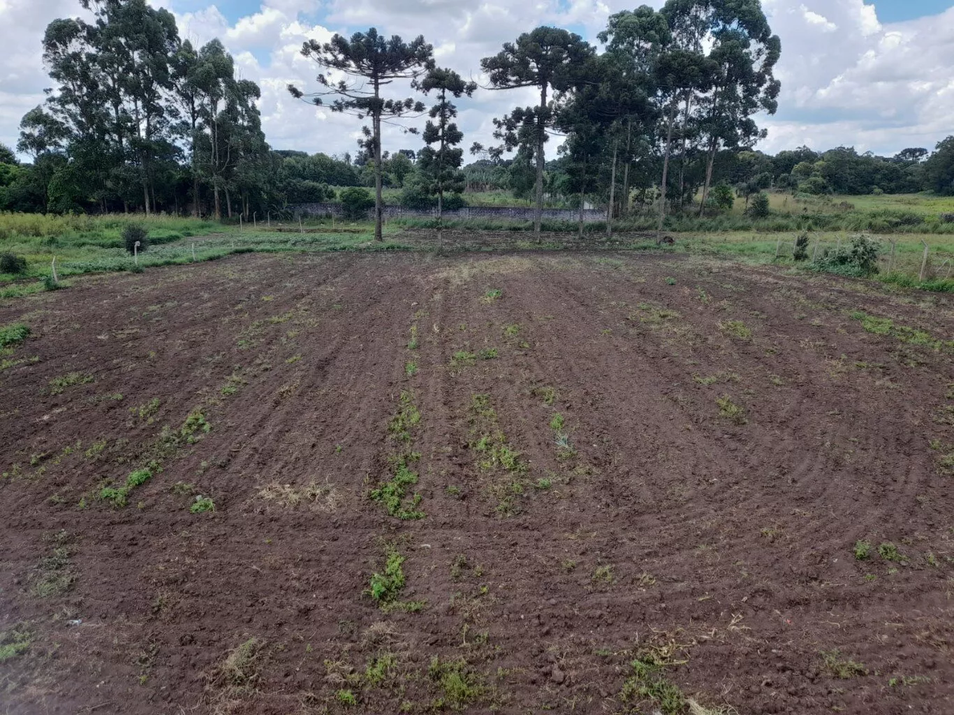 Fazenda à venda com 8 quartos, 250m² - Foto 17