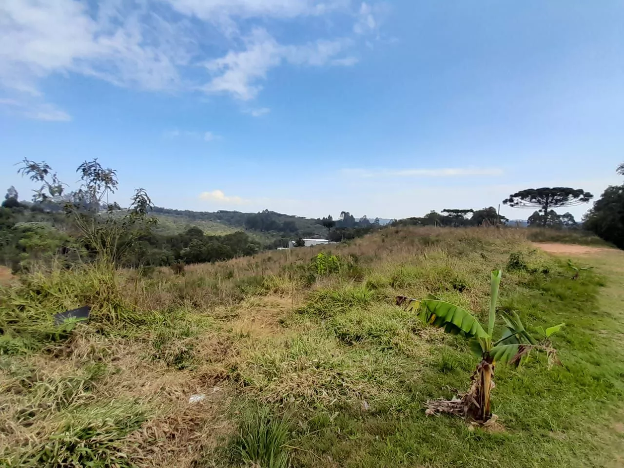 Fazenda à venda com 1 quarto, 20000m² - Foto 6