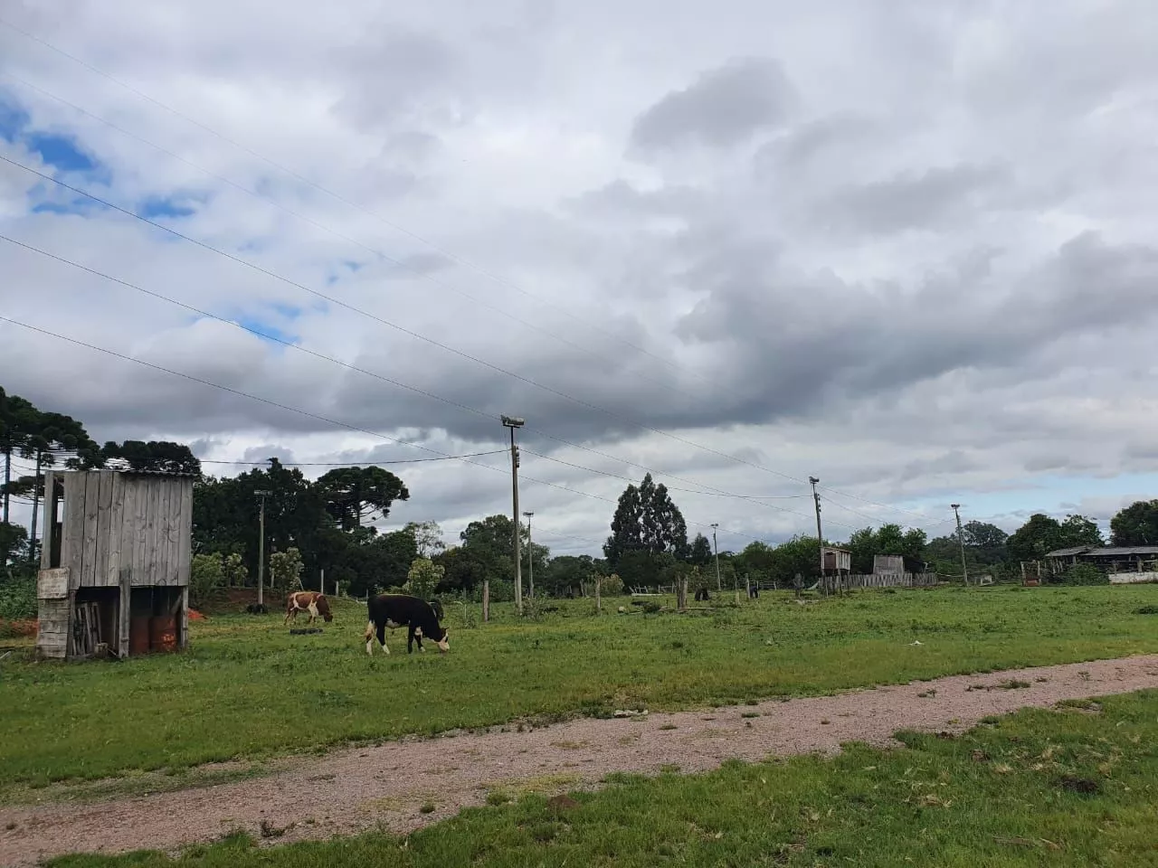 Terreno à venda, 16350m² - Foto 10