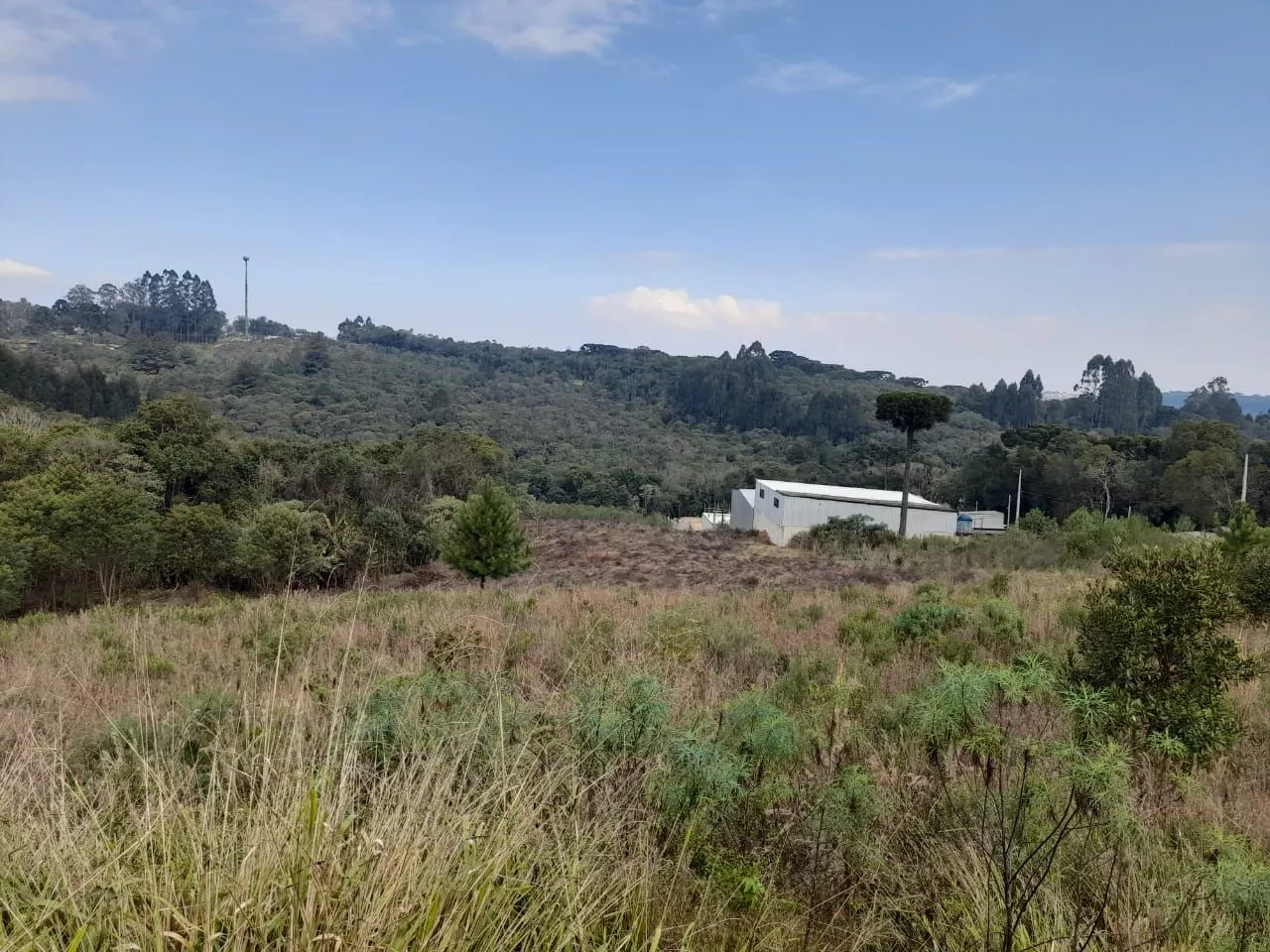 Fazenda à venda com 1 quarto, 20000m² - Foto 10