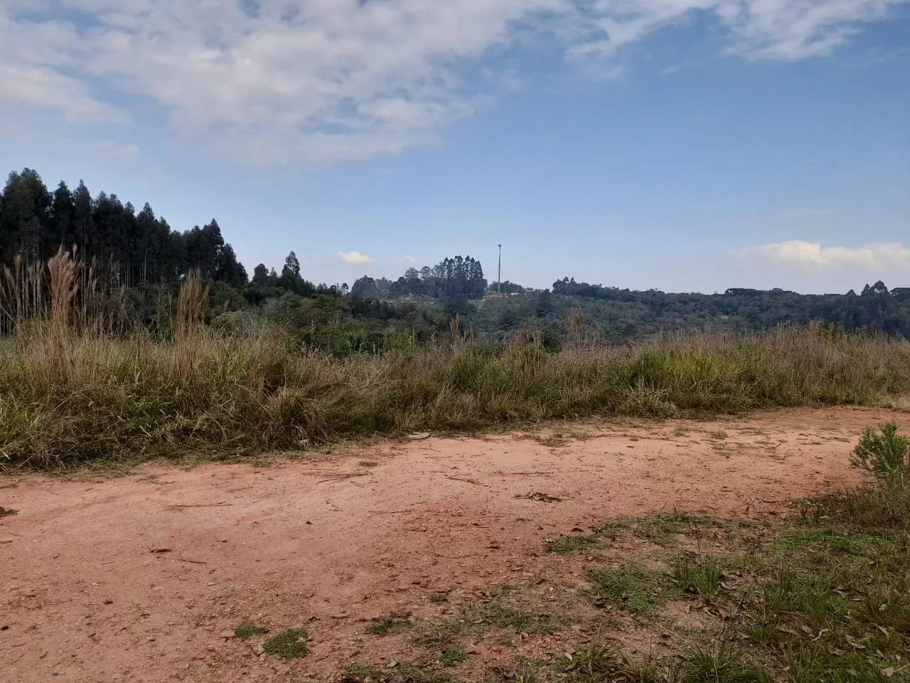 Fazenda à venda com 1 quarto, 20000m² - Foto 11