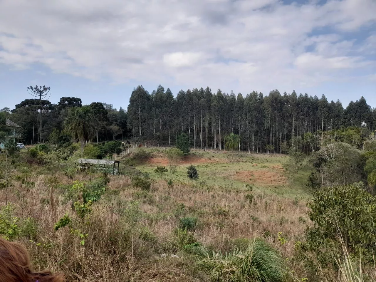 Fazenda à venda com 1 quarto, 20000m² - Foto 3