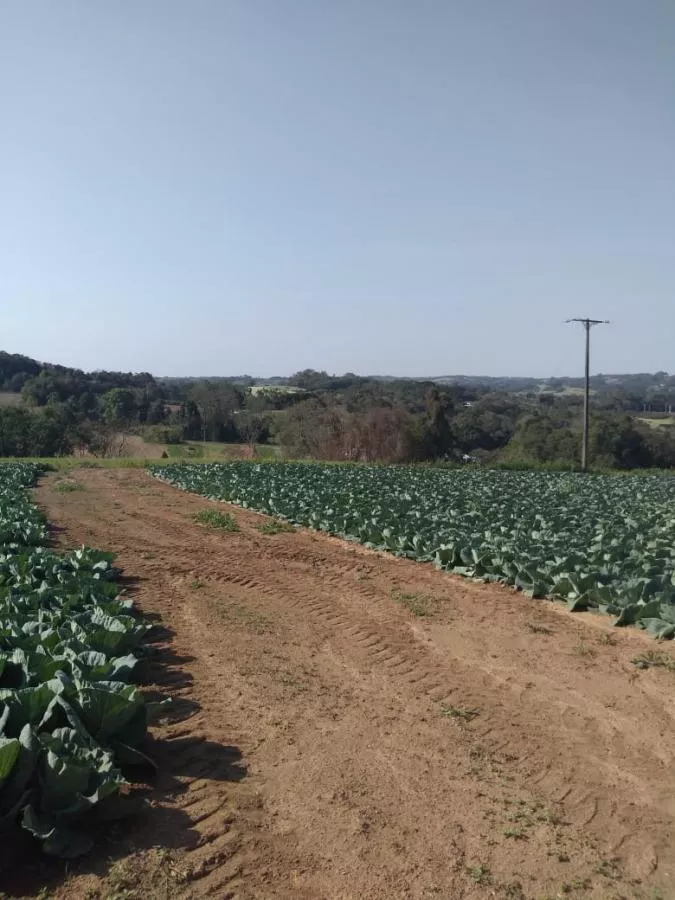 Fazenda à venda com 1 quarto, 23600m² - Foto 2