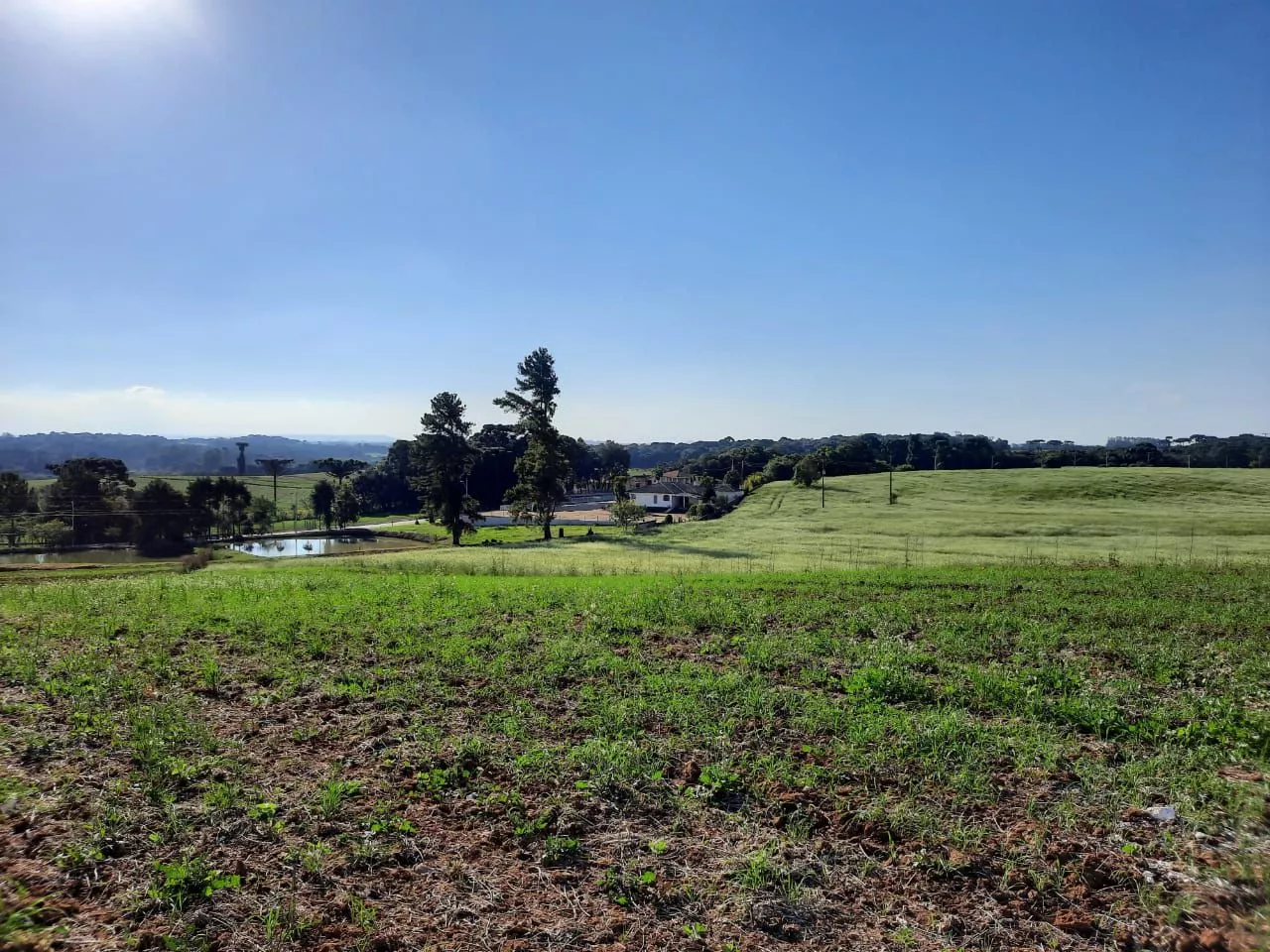 Fazenda à venda com 1 quarto, 127m² - Foto 7