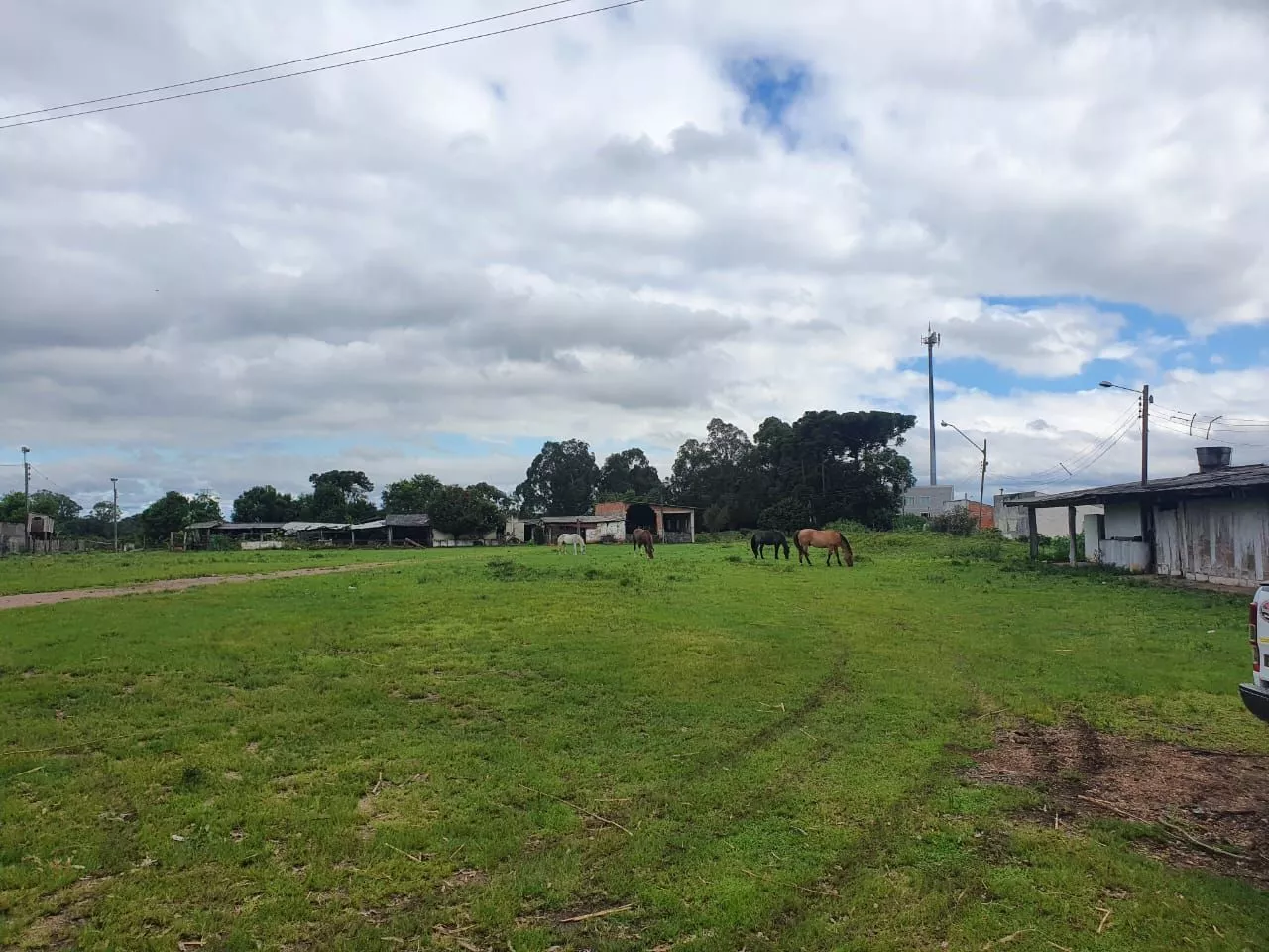 Terreno à venda, 16350m² - Foto 11