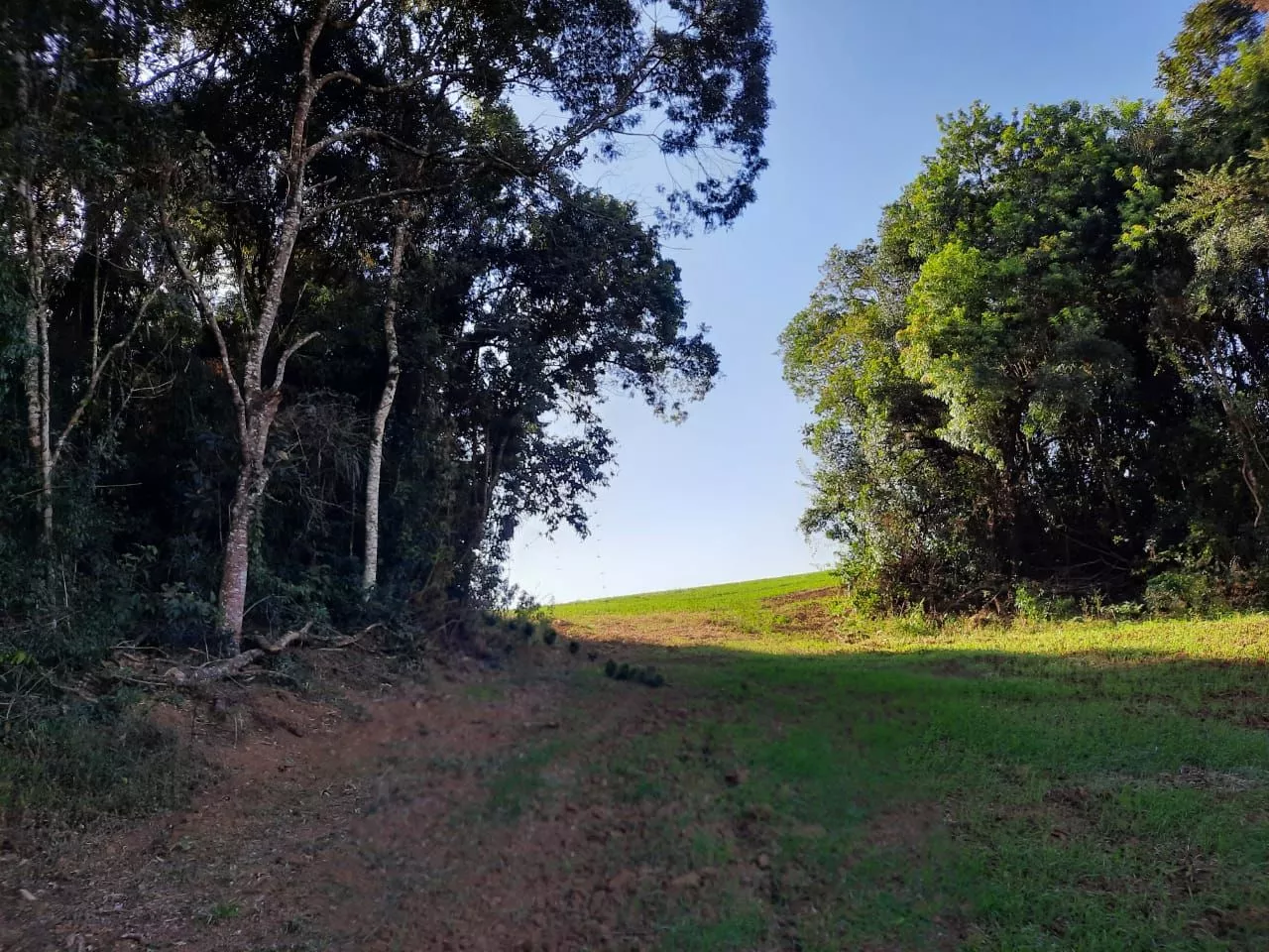 Fazenda à venda com 1 quarto, 127m² - Foto 12