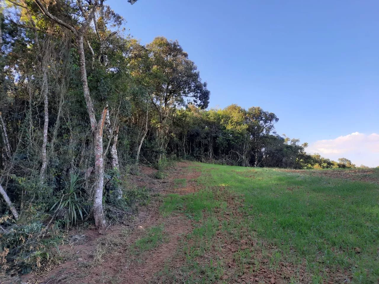 Fazenda à venda com 1 quarto, 127m² - Foto 5