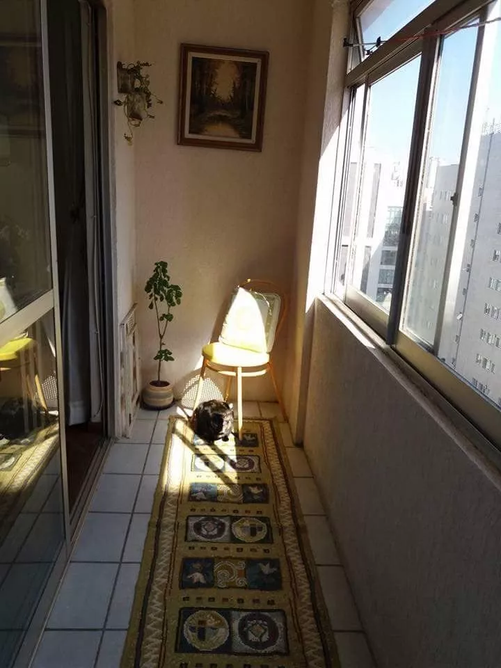 Apartamento à venda com 3 quartos, 86m² - Foto 7