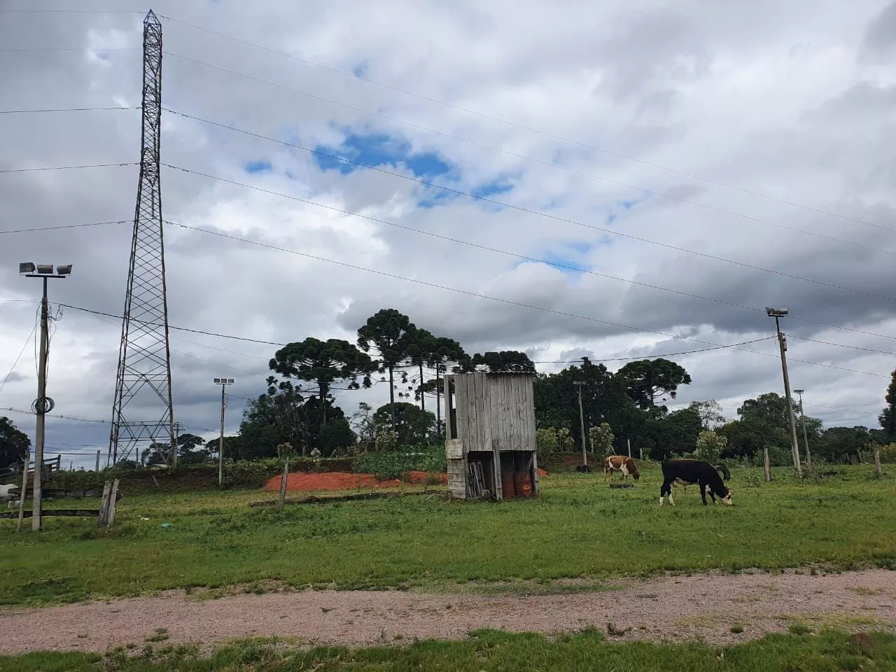 Terreno à venda, 16350m² - Foto 7