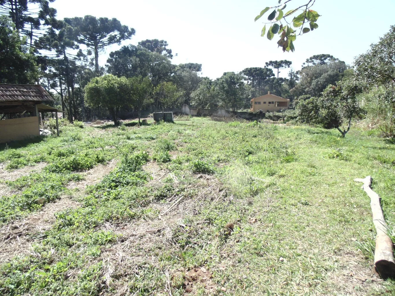 Terreno para alugar, 18000m² - Foto 15