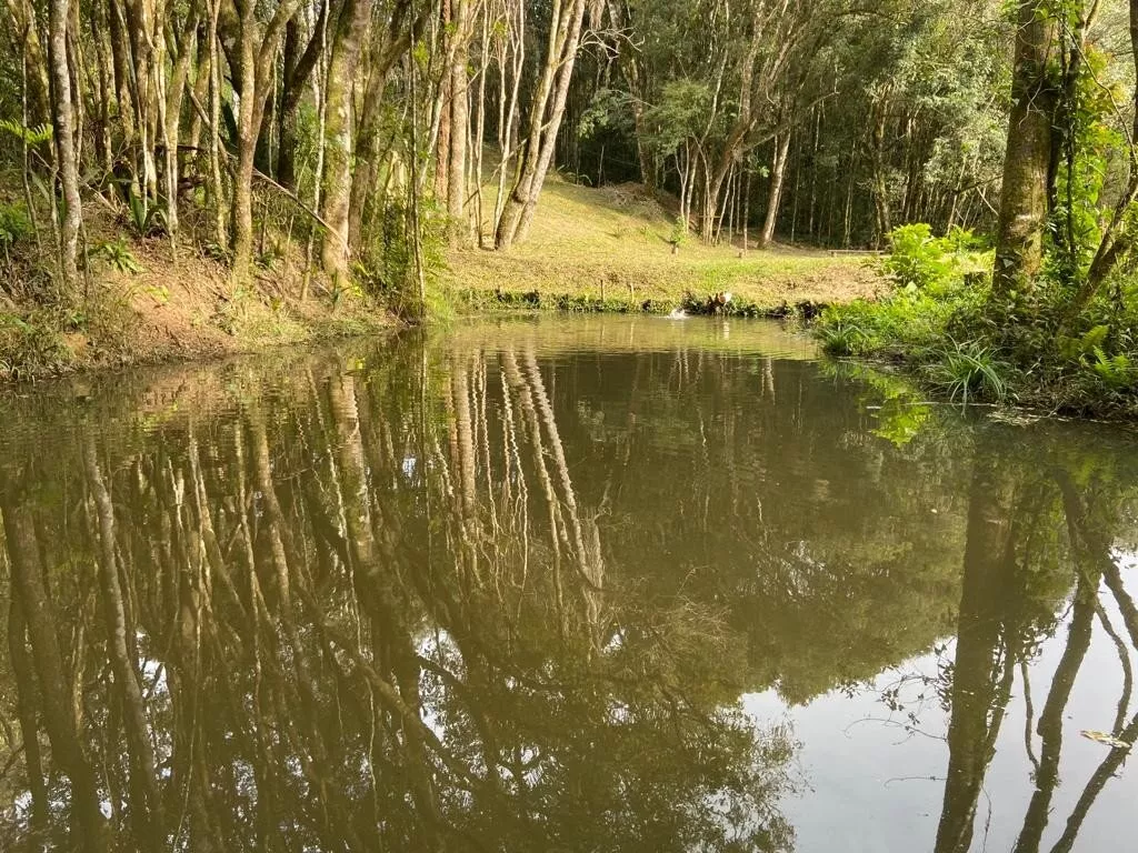 Fazenda à venda com 1 quarto, 7476m² - Foto 23