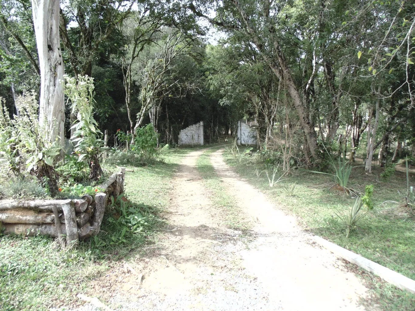 Fazenda à venda com 3 quartos, 72600m² - Foto 35