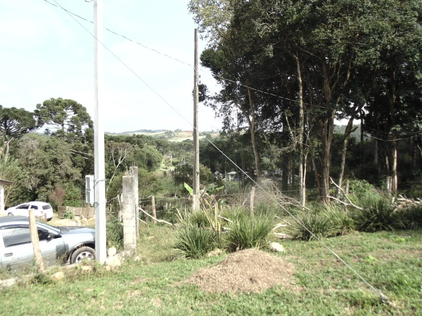 Fazenda à venda com 3 quartos, 72600m² - Foto 17