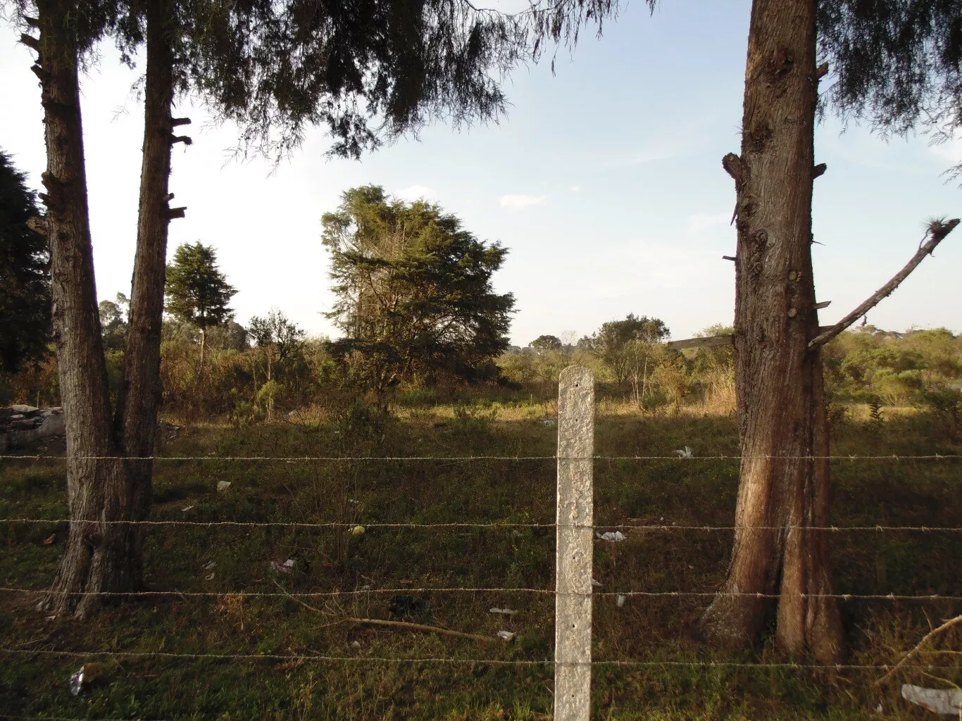 Terreno à venda, 45000m² - Foto 2