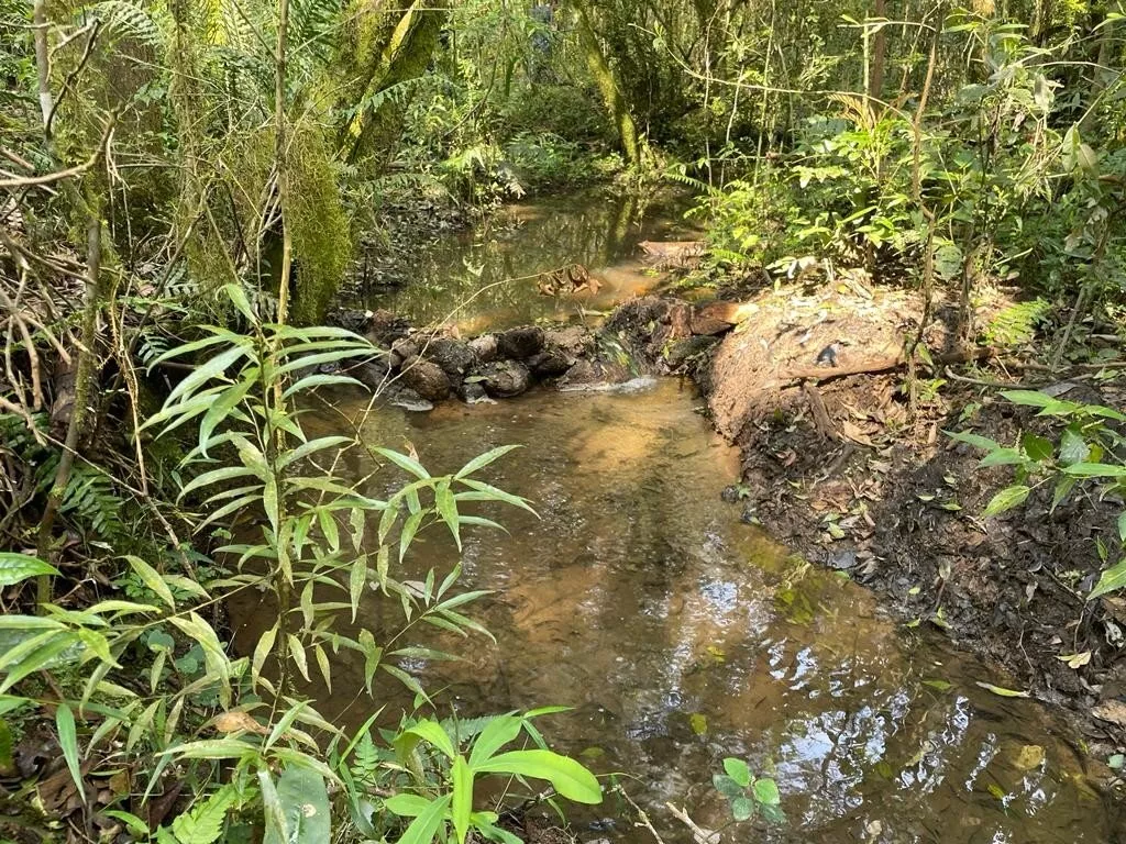 Fazenda à venda com 1 quarto, 7476m² - Foto 28