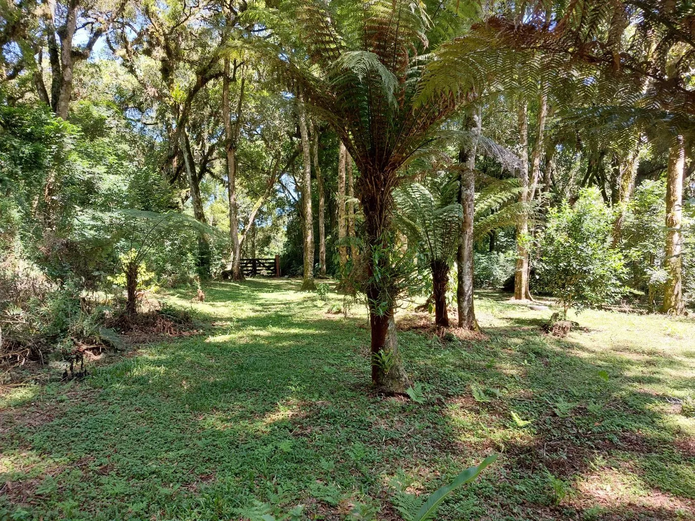 Fazenda à venda com 2 quartos, 10300m² - Foto 2