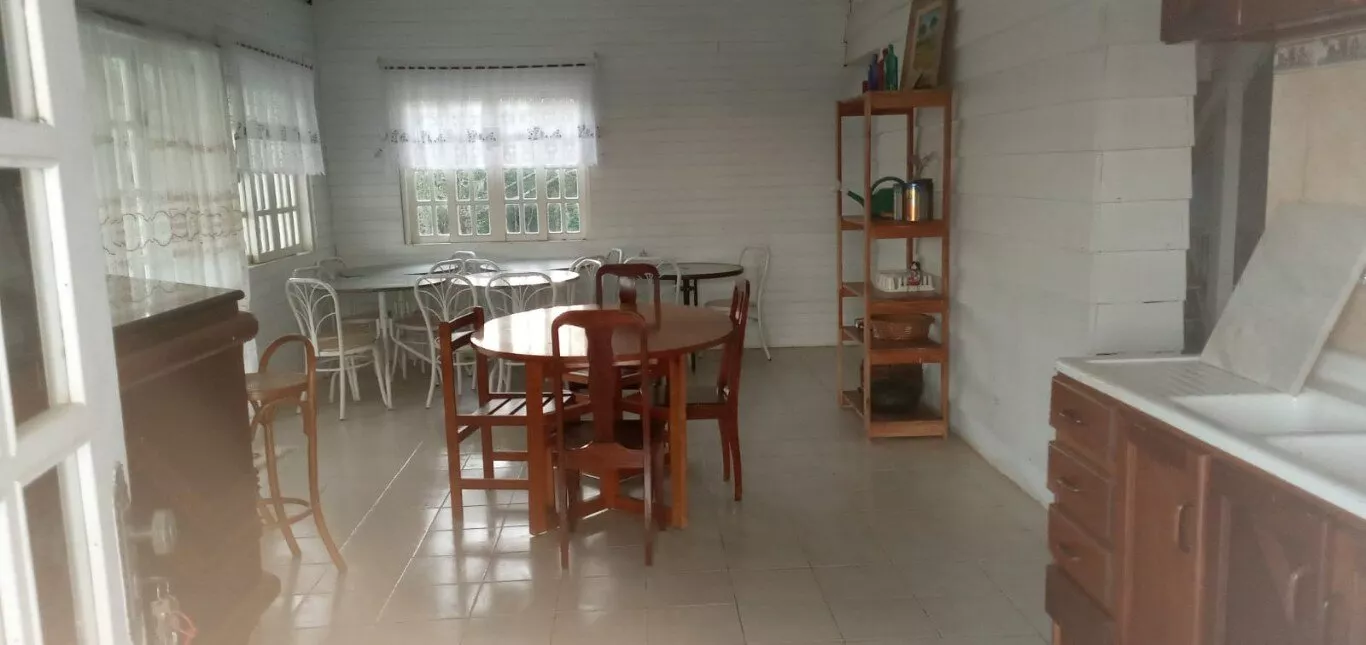 Fazenda à venda com 4 quartos, 38800m² - Foto 15