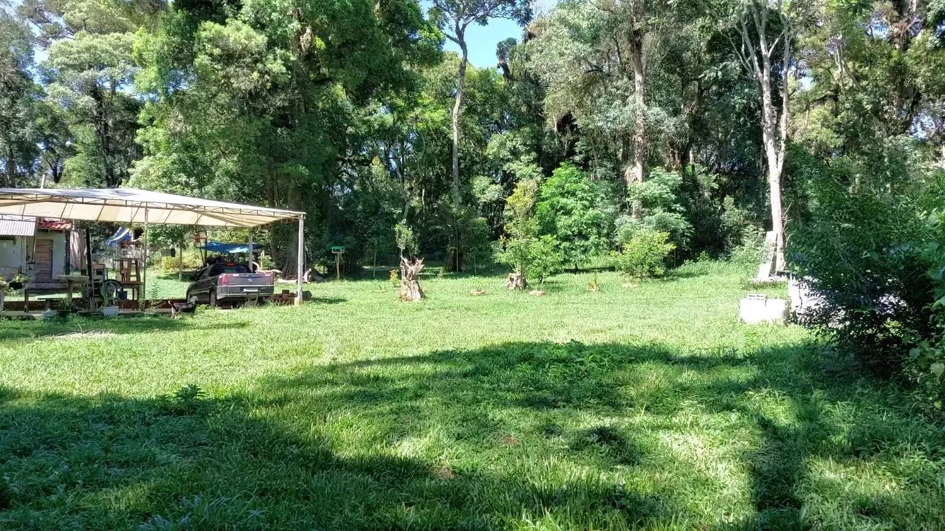 Fazenda à venda com 2 quartos, 10300m² - Foto 21