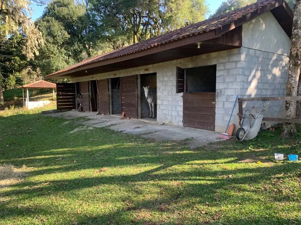 Fazenda à venda com 1 quarto, 28800m² - Foto 27